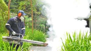 Best Fumigation Services  in Citrus Park, FL